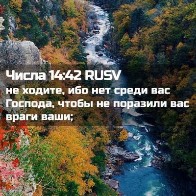 Picture 02 - Числа 14:42 RUSV - не ходите, ибо нет среди - Bible Verse Picture
