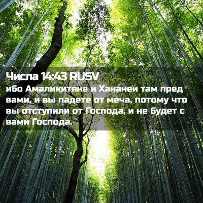Picture 02 - Числа 14:43 RUSV - ибо Амаликитяне и Хананеи - Bible Verse Picture