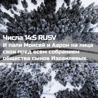 Picture 02 - Числа 14:5 RUSV - И пали Моисей и Аарон на - Bible Verse Picture