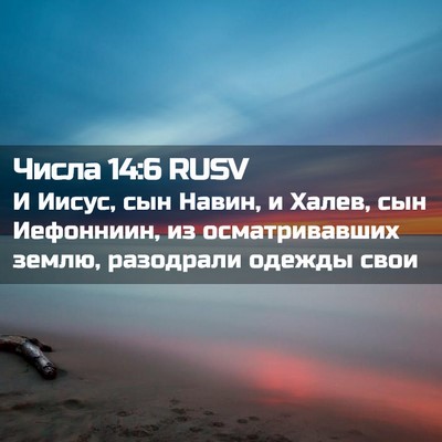 Picture 02 - Числа 14:6 RUSV - И Иисус, сын Навин, и Халев, - Bible Verse Picture