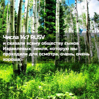 Picture 02 - Числа 14:7 RUSV - и сказали всему обществу - Bible Verse Picture