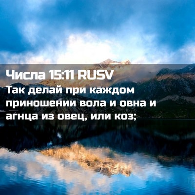 Picture 02 - Числа 15:11 RUSV - Так делай при каждом - Bible Verse Picture