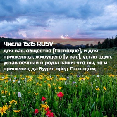 Picture 02 - Числа 15:15 RUSV - для вас, общество - Bible Verse Picture