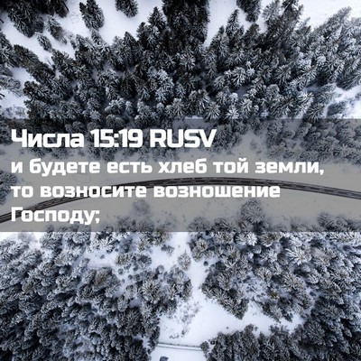Picture 02 - Числа 15:19 RUSV - и будете есть хлеб той - Bible Verse Picture