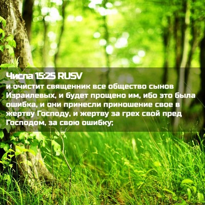 Picture 02 - Числа 15:25 RUSV - и очистит священник все - Bible Verse Picture