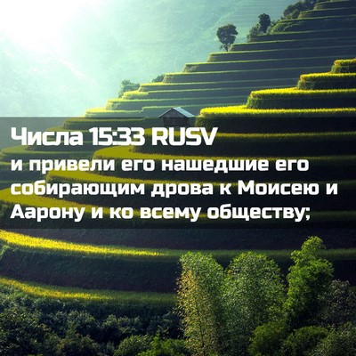 Picture 02 - Числа 15:33 RUSV - и привели его нашедшие его - Bible Verse Picture