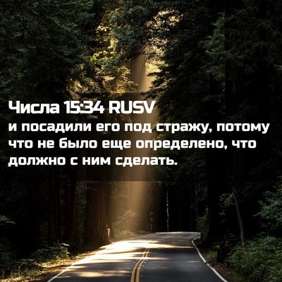 Picture 02 - Числа 15:34 RUSV - и посадили его под стражу, - Bible Verse Picture