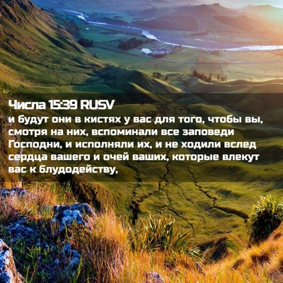 Picture 02 - Числа 15:39 RUSV - и будут они в кистях у вас - Bible Verse Picture