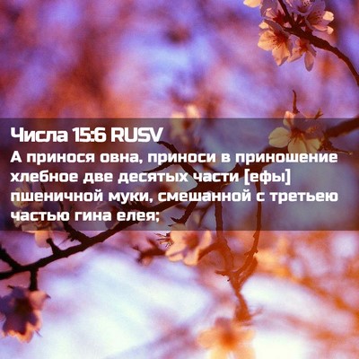 Picture 02 - Числа 15:6 RUSV - А принося овна, приноси в - Bible Verse Picture
