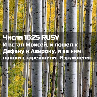 Picture 02 - Числа 16:25 RUSV - И встал Моисей, и пошел к - Bible Verse Picture