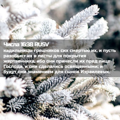 Picture 02 - Числа 16:38 RUSV - кадильницы грешников сих - Bible Verse Picture