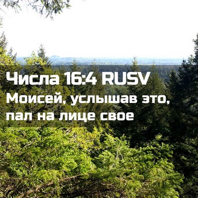 Picture 02 - Числа 16:4 RUSV - Моисей, услышав это, пал на - Bible Verse Picture