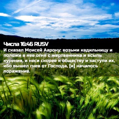 Picture 02 - Числа 16:46 RUSV - И сказал Моисей Аарону: - Bible Verse Picture