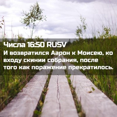 Picture 02 - Числа 16:50 RUSV - И возвратился Аарон к - Bible Verse Picture