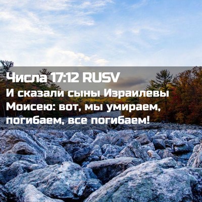 Picture 02 - Числа 17:12 RUSV - И сказали сыны Израилевы - Bible Verse Picture