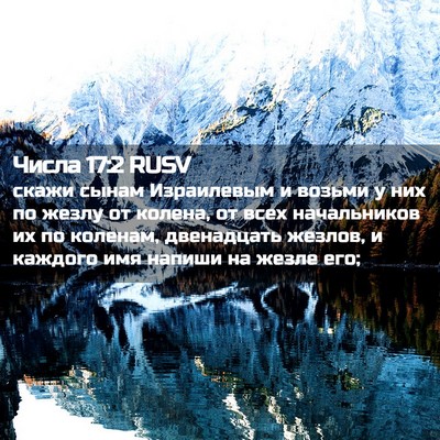 Picture 02 - Числа 17:2 RUSV - скажи сынам Израилевым и - Bible Verse Picture