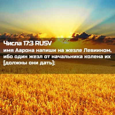 Picture 02 - Числа 17:3 RUSV - имя Аарона напиши на жезле - Bible Verse Picture