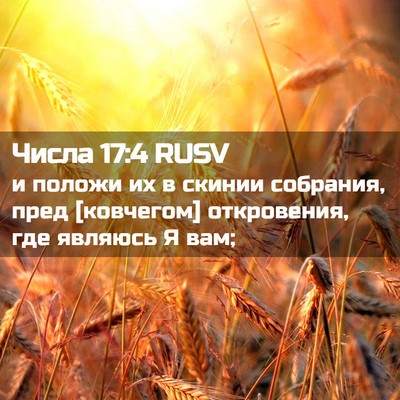 Picture 02 - Числа 17:4 RUSV - и положи их в скинии - Bible Verse Picture