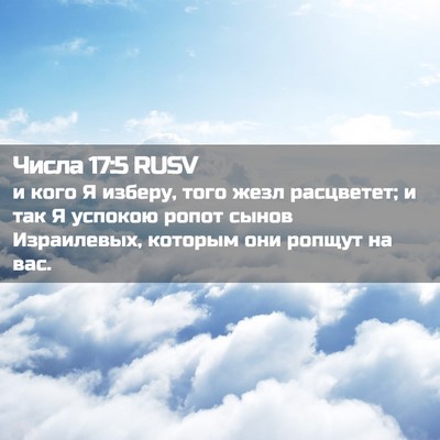 Picture 02 - Числа 17:5 RUSV - и кого Я изберу, того жезл - Bible Verse Picture