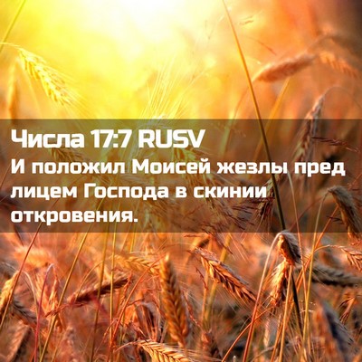Picture 02 - Числа 17:7 RUSV - И положил Моисей жезлы - Bible Verse Picture