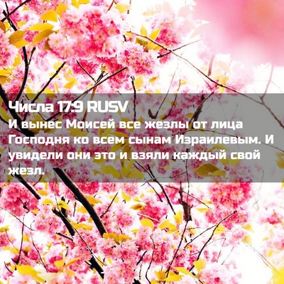 Picture 02 - Числа 17:9 RUSV - И вынес Моисей все жезлы от - Bible Verse Picture