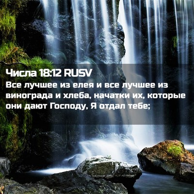 Picture 02 - Числа 18:12 RUSV - Все лучшее из елея и все - Bible Verse Picture
