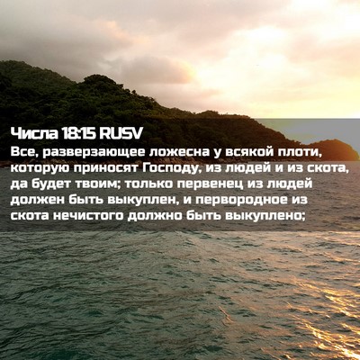 Picture 02 - Числа 18:15 RUSV - Все, разверзающее ложесна - Bible Verse Picture