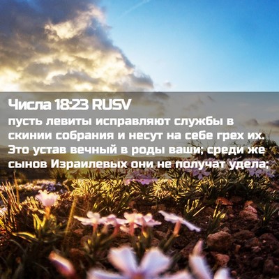Picture 02 - Числа 18:23 RUSV - пусть левиты исправляют - Bible Verse Picture