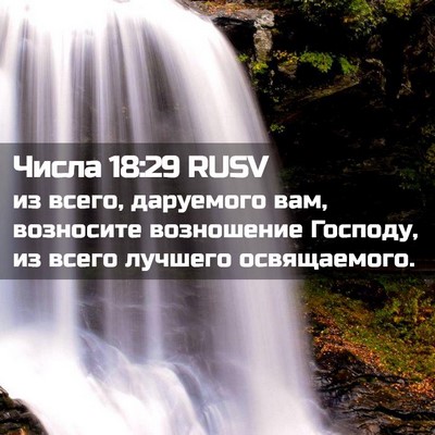 Picture 02 - Числа 18:29 RUSV - из всего, даруемого вам, - Bible Verse Picture