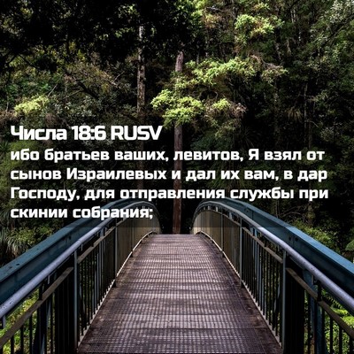 Picture 02 - Числа 18:6 RUSV - ибо братьев ваших, левитов, - Bible Verse Picture