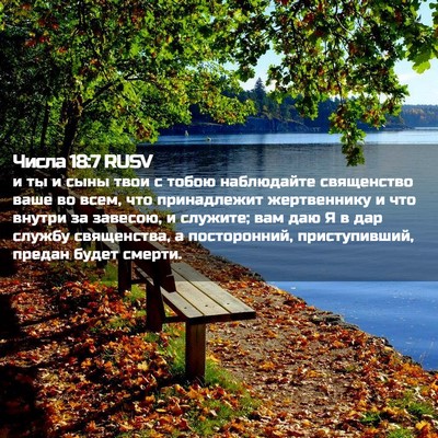 Picture 02 - Числа 18:7 RUSV - и ты и сыны твои с тобою - Bible Verse Picture