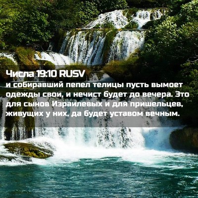 Picture 02 - Числа 19:10 RUSV - и собиравший пепел телицы - Bible Verse Picture