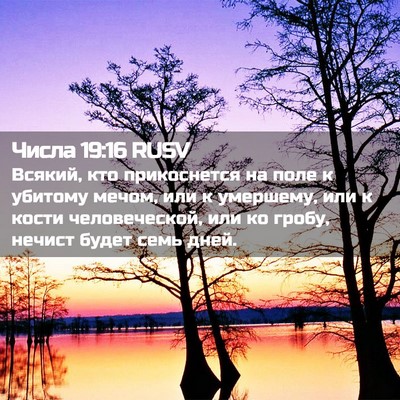 Picture 02 - Числа 19:16 RUSV - Всякий, кто прикоснется на - Bible Verse Picture
