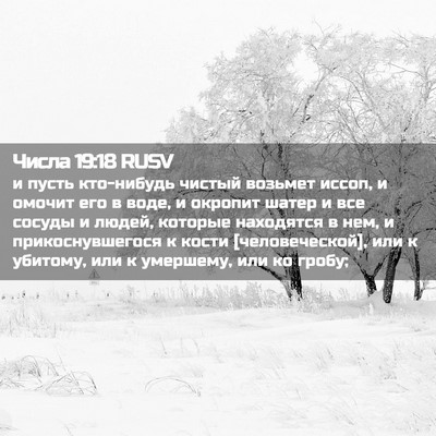 Picture 02 - Числа 19:18 RUSV - и пусть кто-нибудь чистый - Bible Verse Picture