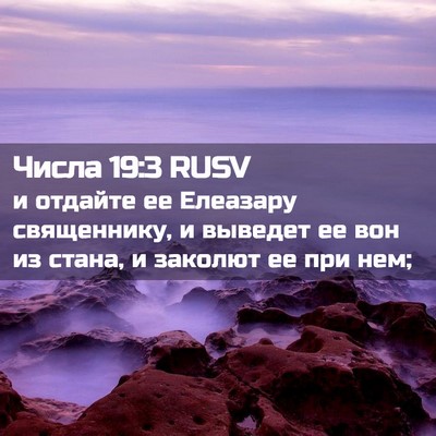 Picture 02 - Числа 19:3 RUSV - и отдайте ее Елеазару - Bible Verse Picture