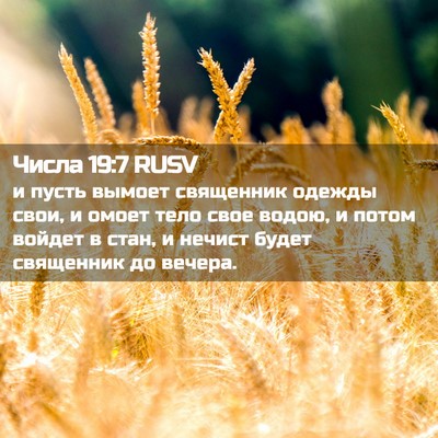 Picture 02 - Числа 19:7 RUSV - и пусть вымоет священник - Bible Verse Picture