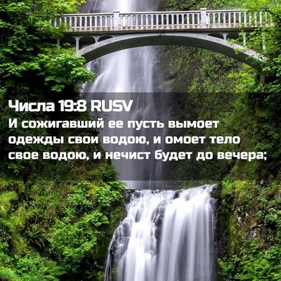Picture 02 - Числа 19:8 RUSV - И сожигавший ее пусть - Bible Verse Picture