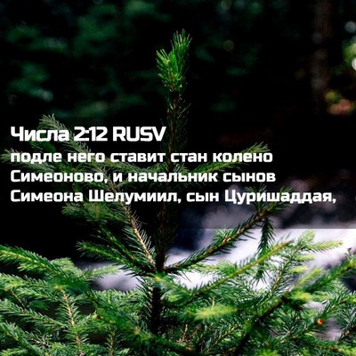 Picture 02 - Числа 2:12 RUSV - подле него ставит стан - Bible Verse Picture