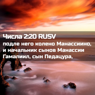 Picture 02 - Числа 2:20 RUSV - подле него колено - Bible Verse Picture