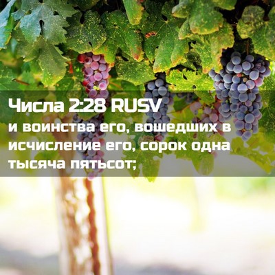 Picture 02 - Числа 2:28 RUSV - и воинства его, вошедших в - Bible Verse Picture