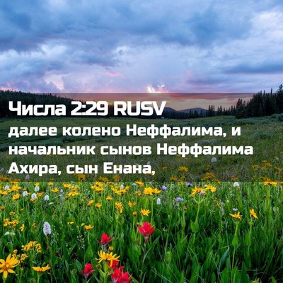 Picture 02 - Числа 2:29 RUSV - далее колено Неффалима, и - Bible Verse Picture