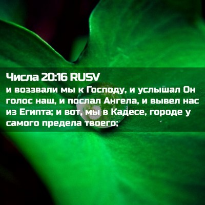 Picture 02 - Числа 20:16 RUSV - и воззвали мы к Господу, и - Bible Verse Picture