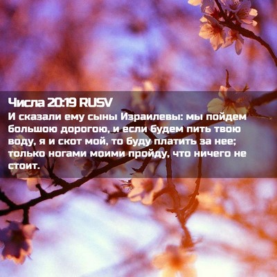 Picture 02 - Числа 20:19 RUSV - И сказали ему сыны - Bible Verse Picture