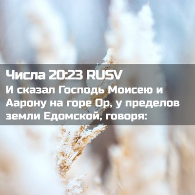 Picture 02 - Числа 20:23 RUSV - И сказал Господь Моисею и - Bible Verse Picture