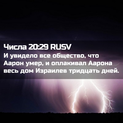 Picture 02 - Числа 20:29 RUSV - И увидело все общество, что - Bible Verse Picture
