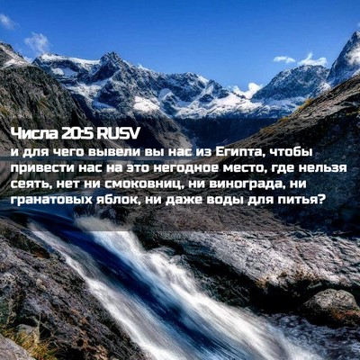 Picture 02 - Числа 20:5 RUSV - и для чего вывели вы нас из - Bible Verse Picture