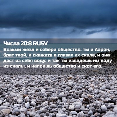 Picture 02 - Числа 20:8 RUSV - Возьми жезл и собери - Bible Verse Picture