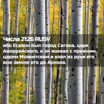 Picture 02 - Числа 21:26 RUSV - ибо Есевон был город - Bible Verse Picture