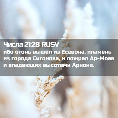 Picture 02 - Числа 21:28 RUSV - ибо огонь вышел из Есевона, - Bible Verse Picture