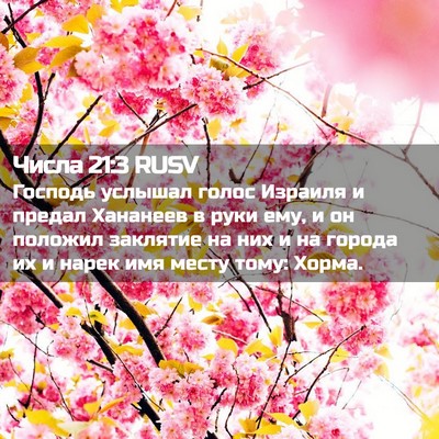 Picture 02 - Числа 21:3 RUSV - Господь услышал голос - Bible Verse Picture